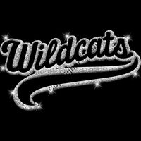 GLT78   SILVER GLITTER Thumbnail