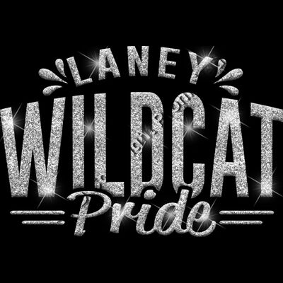 GLT62 SILVER GLITTER Thumbnail