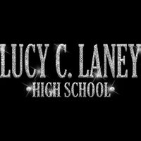 GLT21 SILVER GLITTER Thumbnail